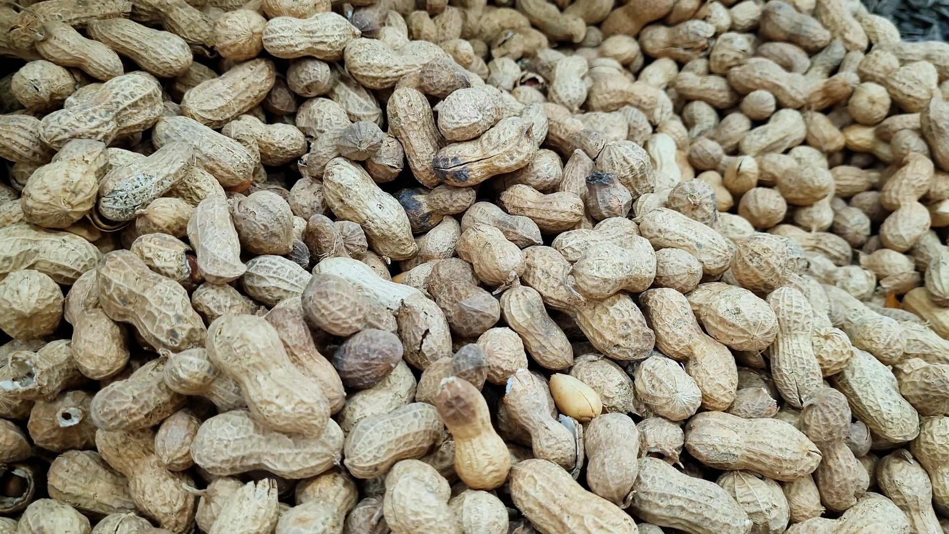 Experts Say Pollution May Trigger Peanut Allergies Videos from The